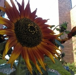 Meet your Posher, Josh